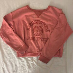 Vintage Abercombie and Fitch Crop Sweatshirt